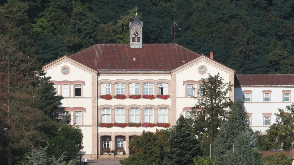 Messerangriff im Pfalzklinikum auf Mitbewohner Staatsanwaltschaft erhebt Anklage gegen Somalier wegen versuchten Mordes